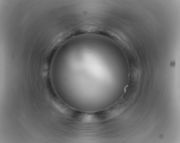 X0000091910507200709051421