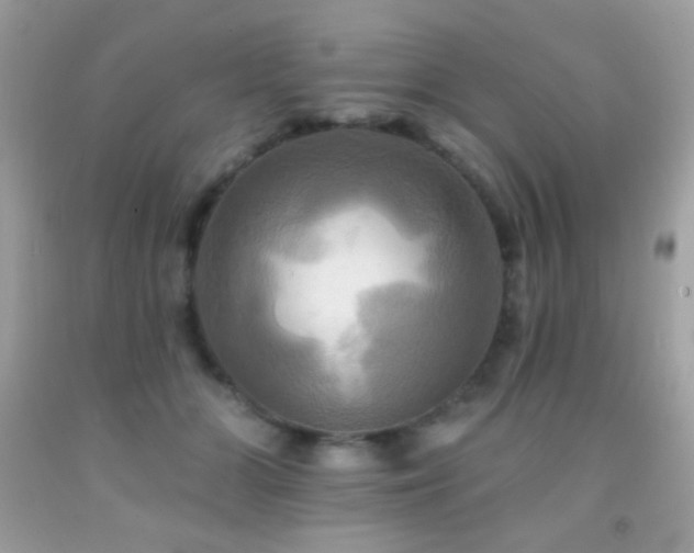 X0000091910510200709051421