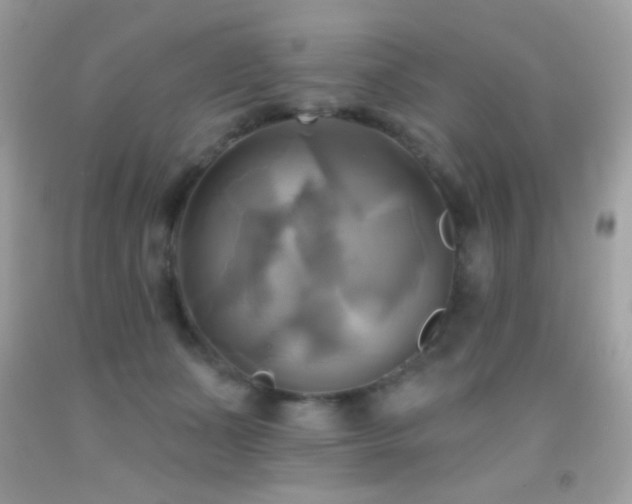 X0000091910511200709051421