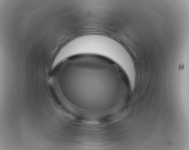 X0000091910512200709051421
