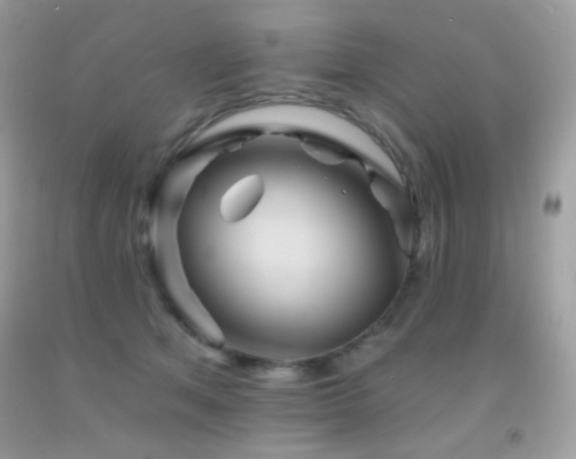 X0000091910513200709051421