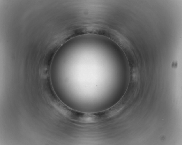 X0000091910514200709051421
