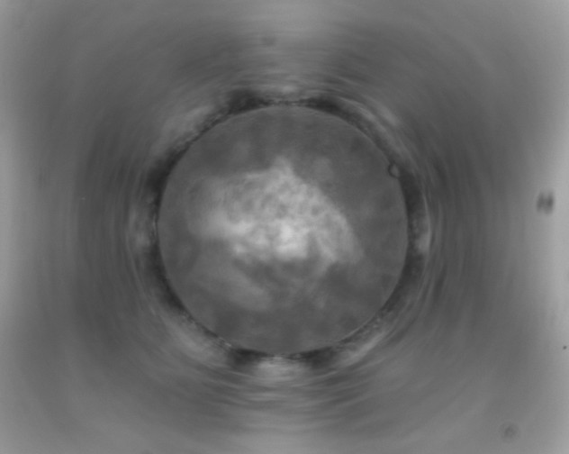 X0000091910515200709051421