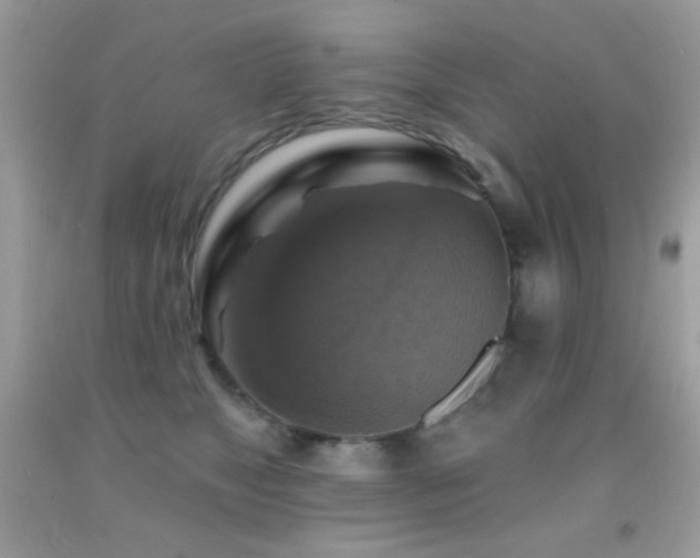 X0000091910517200709051421