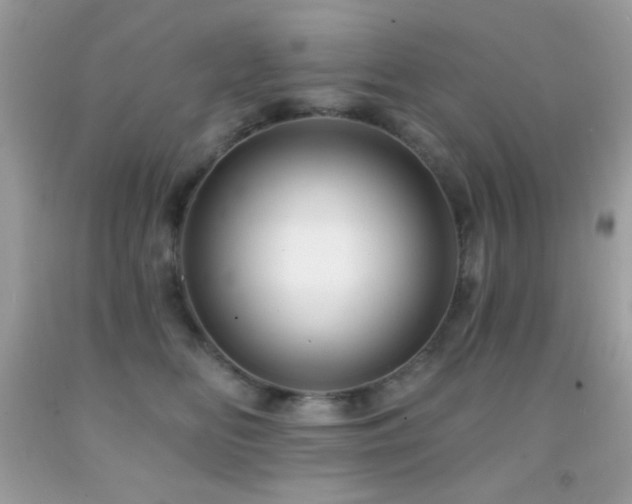 X0000091910518200709051421
