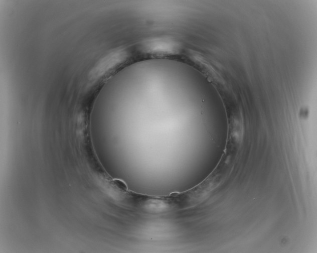 X0000091910519200709051421