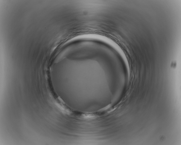 X0000091910520200709051421