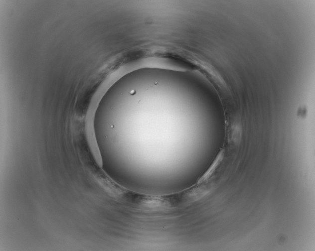 X0000091910521200709051421