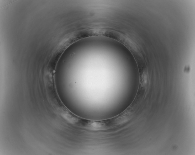 X0000091910522200709051421
