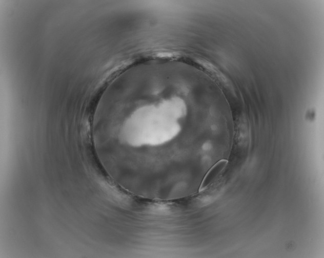 X0000091910523200709051421