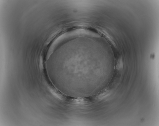 X0000091910524200709051421