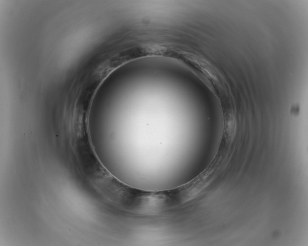 X0000091910525200709051421