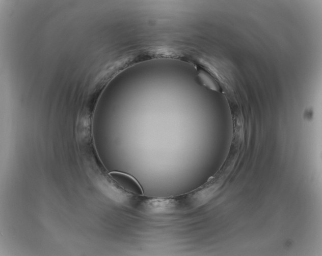 X0000091910526200709051421