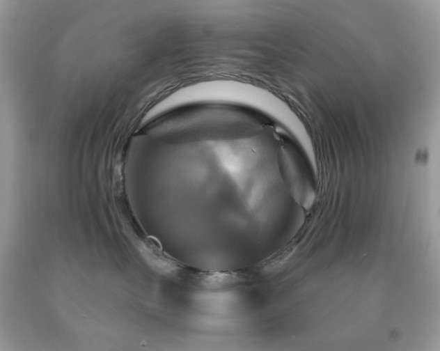 X0000091910527200709051421