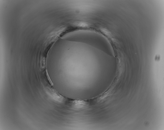 X0000091910528200709051421