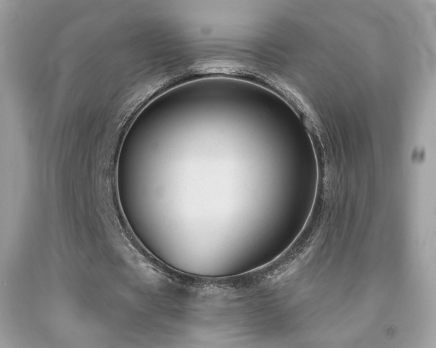 X0000091910529200709051420