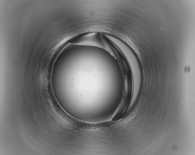 X0000091910530200709051420
