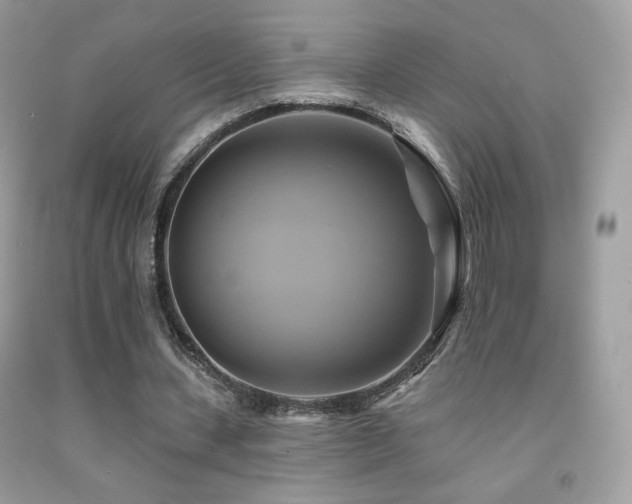 X0000091910531200709051420