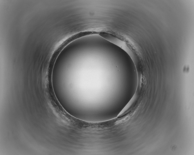 X0000091910532200709051420