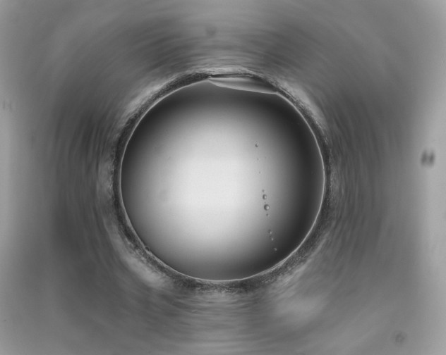 X0000091910533200709051420