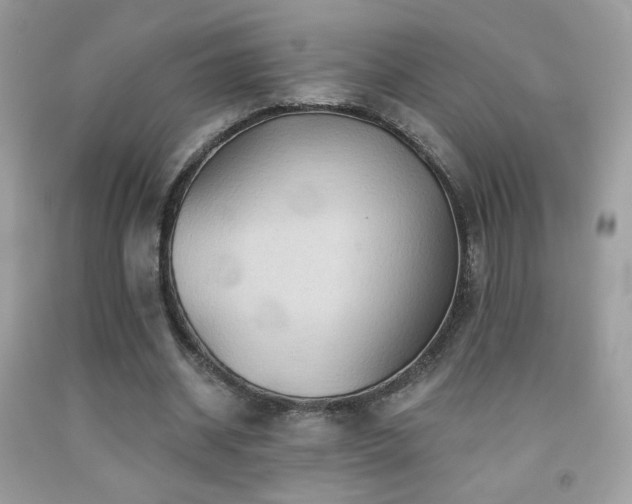 X0000091910534200709051420