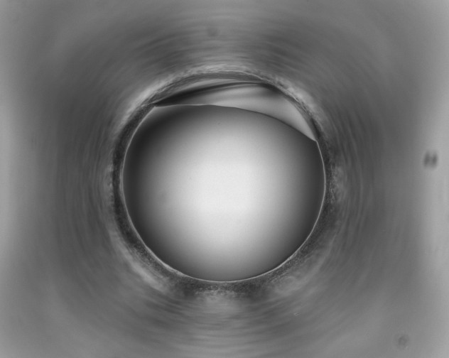 X0000091910535200709051420