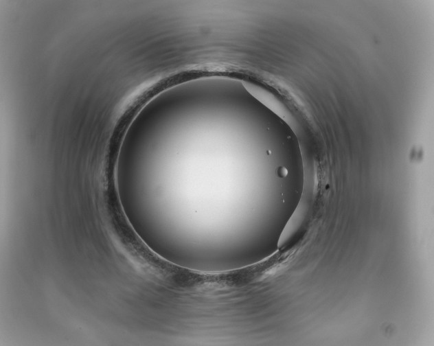 X0000091910536200709051420
