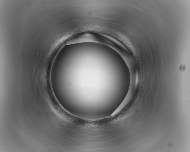 X0000091910538200709051420