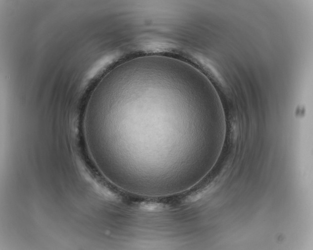 X0000091910539200709051420