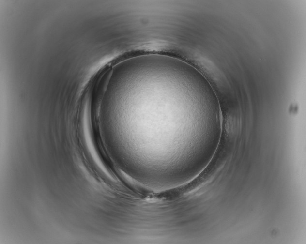 X0000091910540200709051420