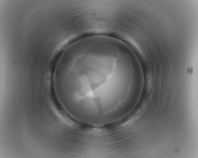 X0000091910542200709051421