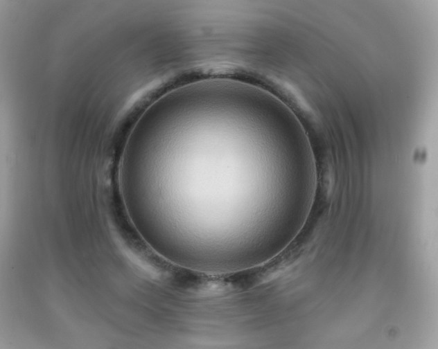 X0000091910543200709051421