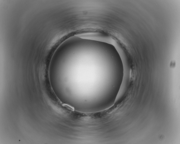 X0000091910544200709051421