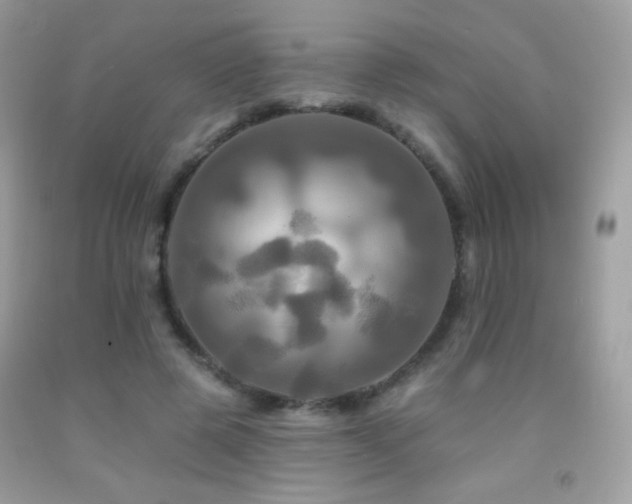 X0000091910545200709051421