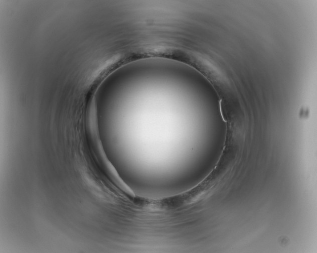 X0000091910546200709051421