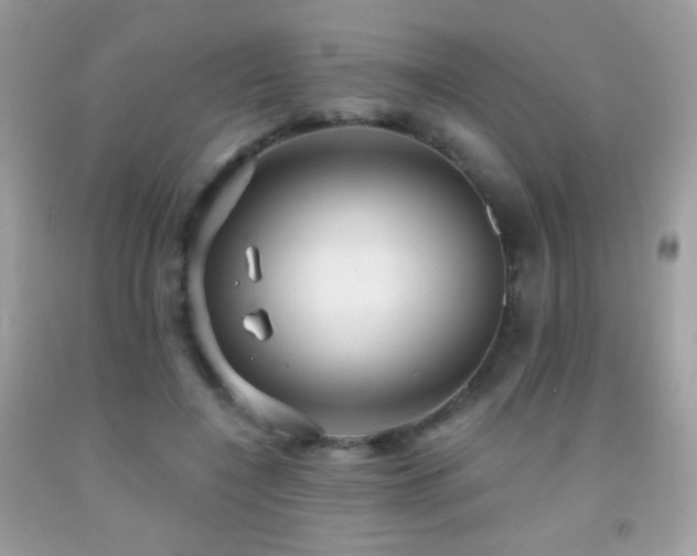 X0000091910548200709051421
