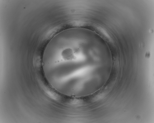 X0000091910549200709051421