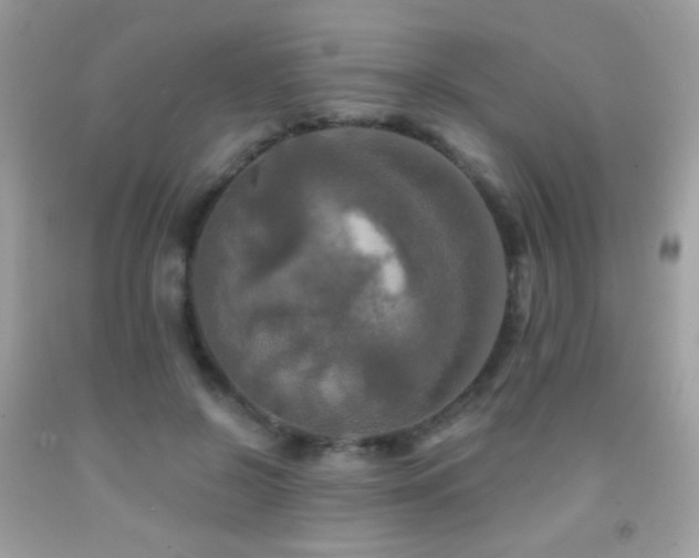 X0000091910550200709051421