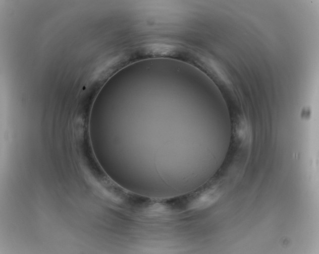 X0000091910551200709051421