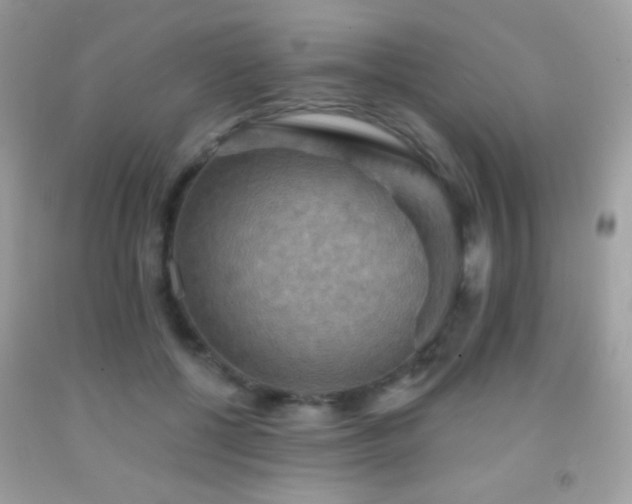 X0000091910552200709051421