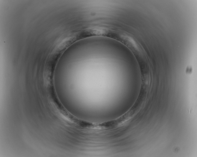 X0000091910553200709051421