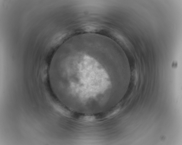 X0000091910554200709051421