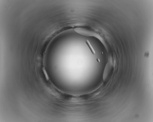 X0000091910556200709051421