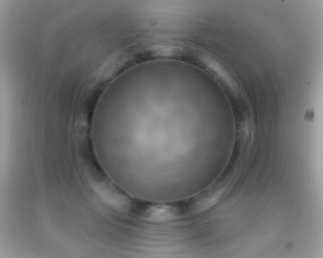 X0000091910557200709051421