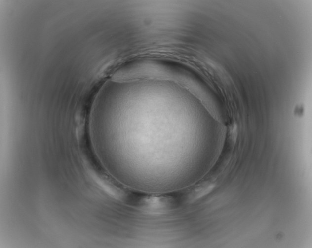 X0000091910558200709051421