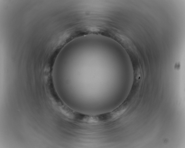 X0000091910559200709051421