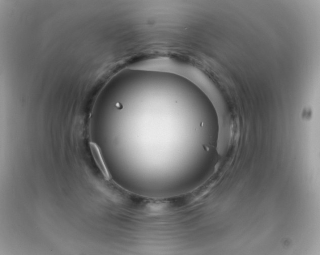 X0000091910560200709051421