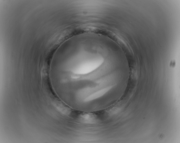 X0000091910561200709051421