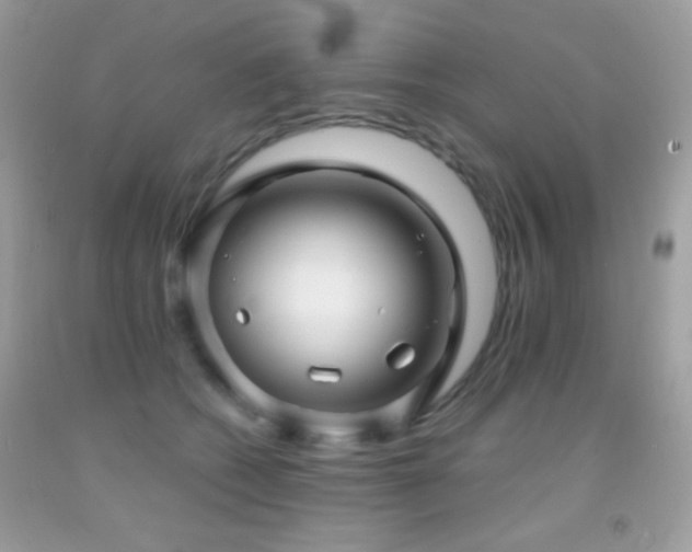 X0000091910562200709051421