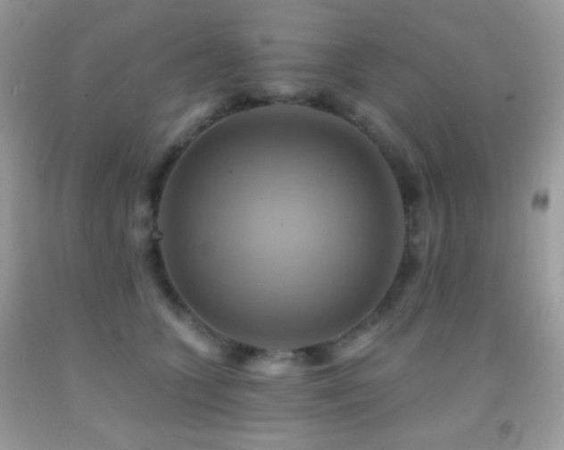 X0000091910563200709051421